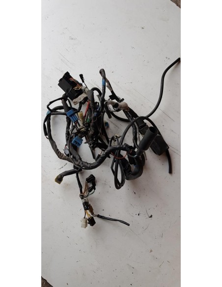 Faisceau électrique SUZUKI SV 650 1998 - 2003