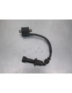 Bobine d'allumage  SUZUKI DR 800 1990  -  1997