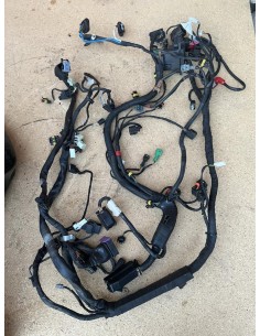 Faisceau électrique APRILIA TUONO V4 2011  -  2014