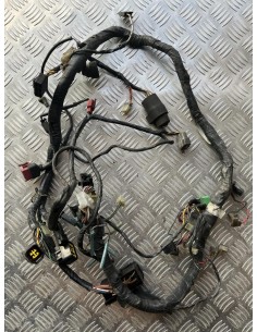 Faisceaux électrique KAWASAKI ER5 1996  -  2006 2