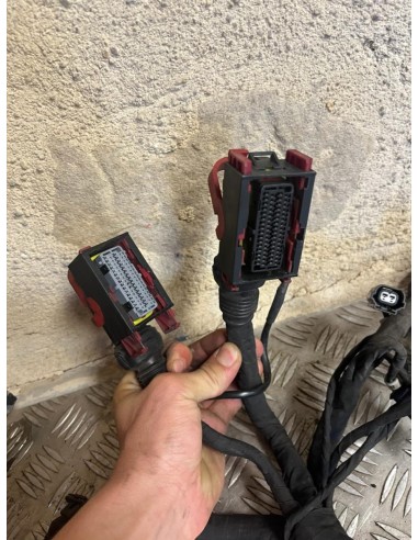 Faisceau éléctrique MV AGUSTA BRUTALE 2013 - 2016