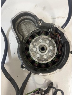 Carter d'alternateur + alternateur GASGAS EC 250 1998 - 2001 2