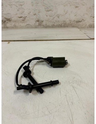Bobine d'allumage HONDA HORNET 600 2007  -  2010