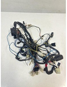 Faisceau éléctrique YAMAHA TDM 850 1991  -  1995