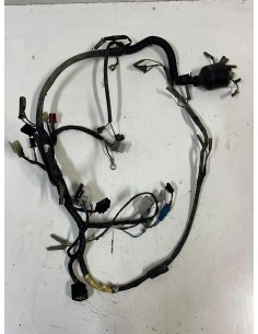 Boitier CDI  -  Faisceau électrique YAMAHA TW 125 1998  -  2006