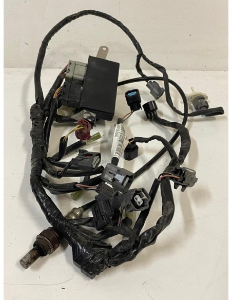 Faisceau électrique avec boitier CDI HONDA HORNET 600 2007  -  2013