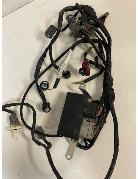 Faisceau électrique avec boitier CDI HONDA HORNET 600 2007  -  2013