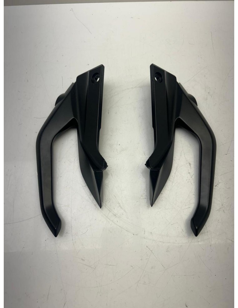 Poignées passager droit et gauche BMW R 1250 R 2017 - 2024