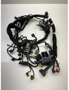 Faisceau KTM DUKE 890 2018 - 2024