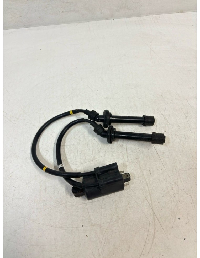 Bobines YAMAHA FZ6 2004 / 2007 5VX00J0383