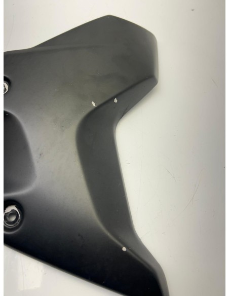 Cache radiateur "Style" BMW R 1250 GS 2017 - 2023