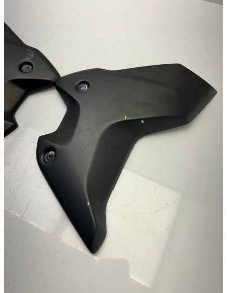 Cache radiateur "Style" BMW R 1250 GS 2017 - 2023