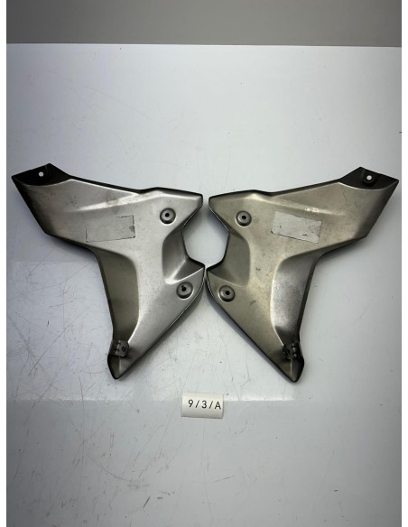 Cache radiateur "Style" BMW R 1250 GS 2017 - 2023