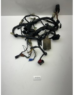 Faisceau électrique HONDA HORNET 600 2002 - 2005 32100MBZR40