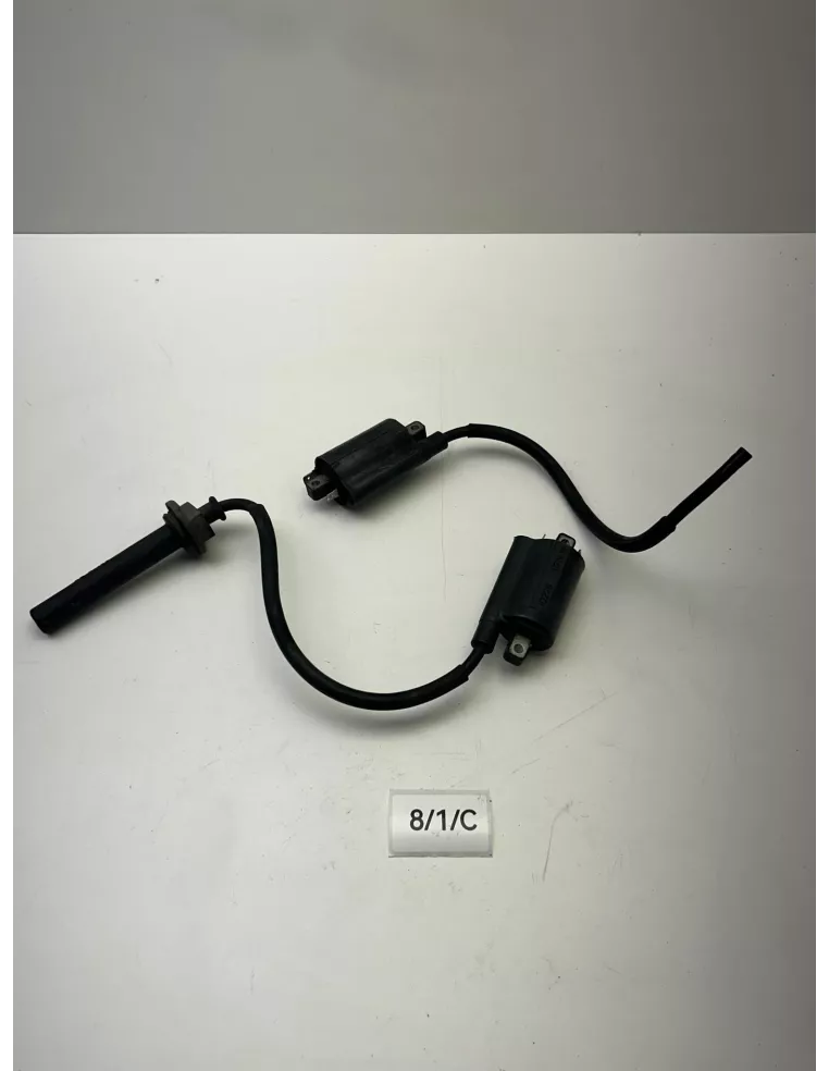 Paire de bobines d'allumage YAMAHA TDM 900 2002 - 2014 – 5PS-82310-00 / 5PS-82320-00