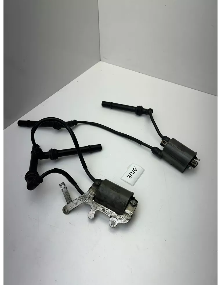 Paire de bobine d'allumage HONDA CB 1000 R 2008 - 2016 – 30510-MCC-003
