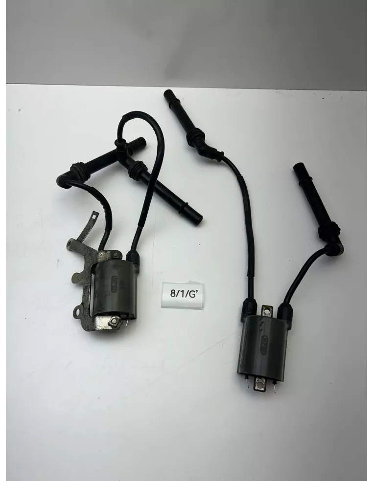 Paire de bobine d'allumage HONDA CB 1000 R 2008 - 2016 – 30510-MCC-003